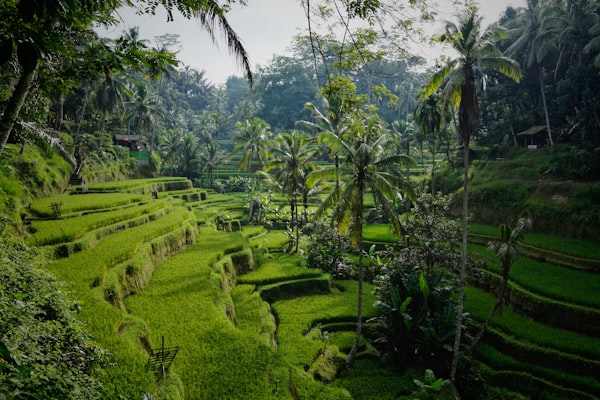 Denpasar