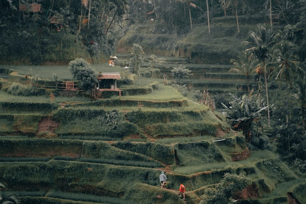 Tampaksiring